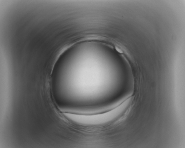 X0000111661369200907241143