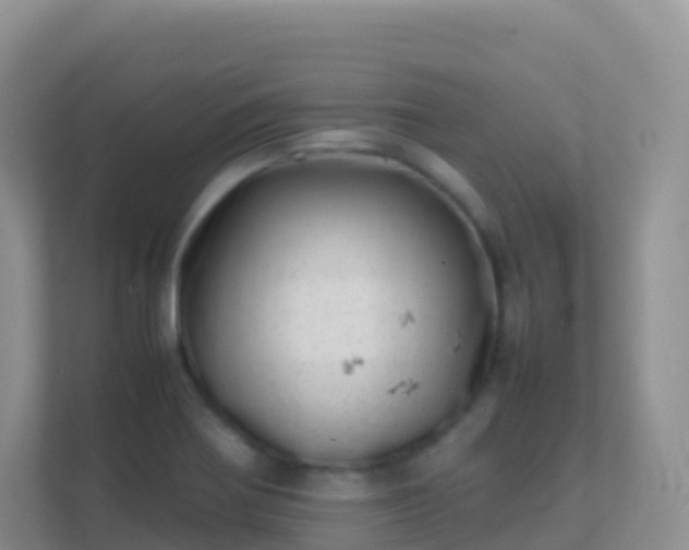 X0000111661370200907241143