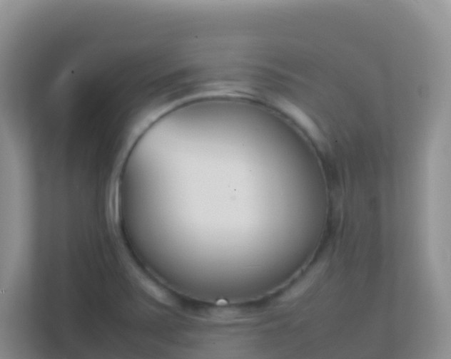 X0000111661371200907241143
