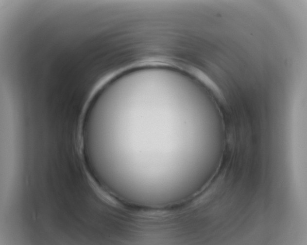X0000111661372200907241143