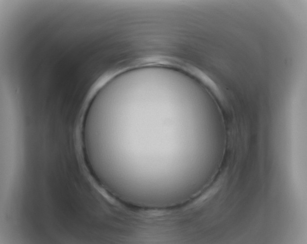 X0000111661373200907241143