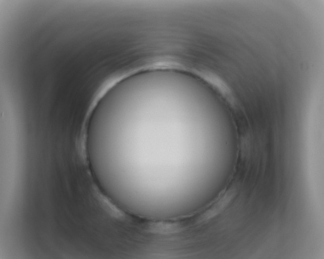 X0000111661374200907241143