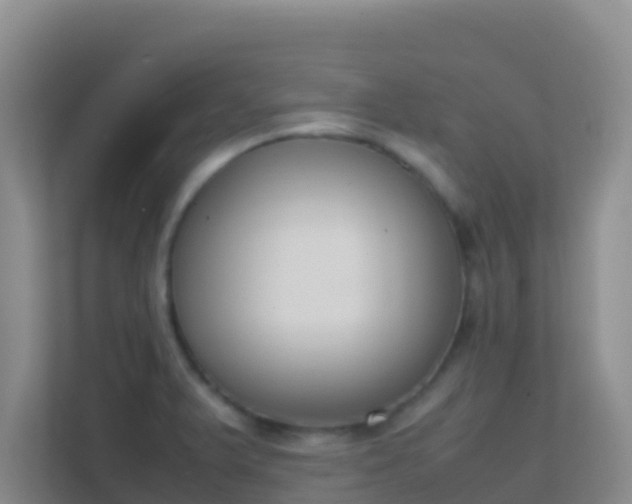 X0000111661375200907241143