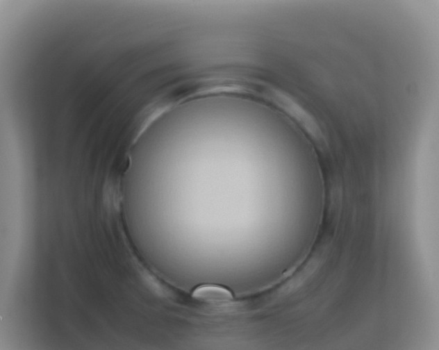 X0000111661377200907241143