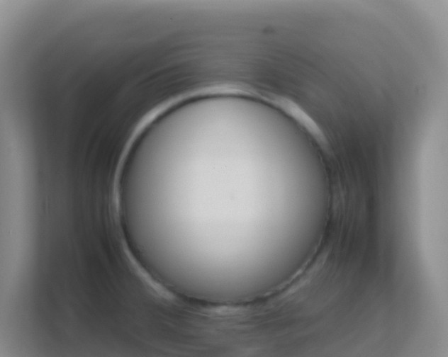 X0000111661380200907241143