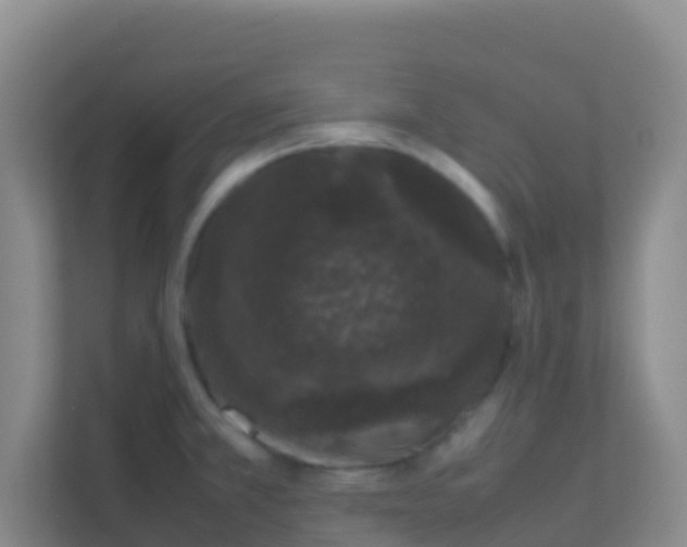X0000111661381200907241143
