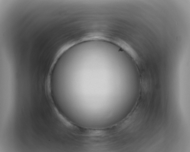 X0000111661382200907241143