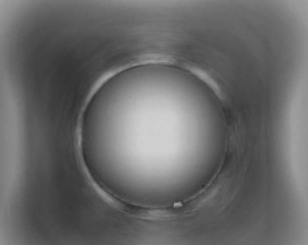 X0000111661383200907241143
