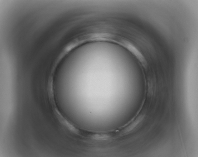 X0000111661384200907241143
