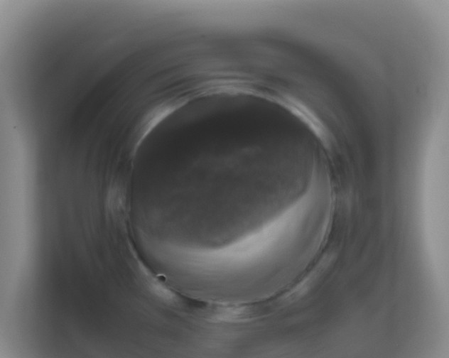 X0000111661385200907241143