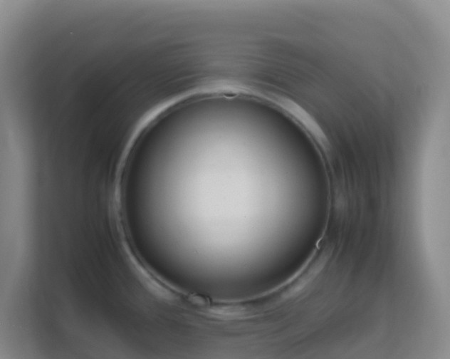 X0000111661388200907241143
