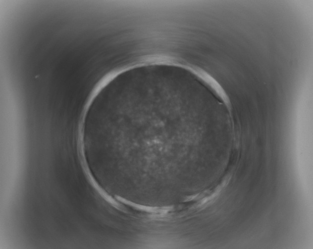 X0000111661389200907241143
