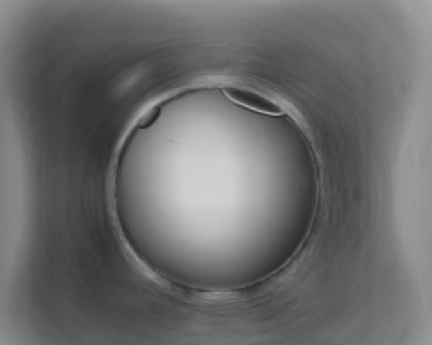 X0000111661392200907241143
