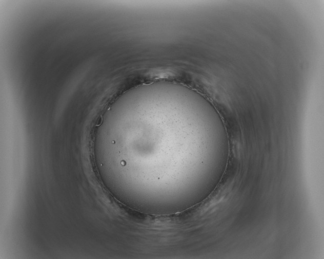 X0000111661393200907241142