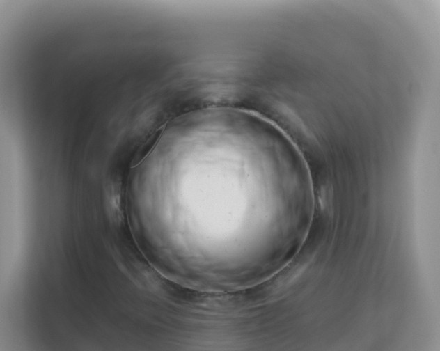 X0000111661396200907241142
