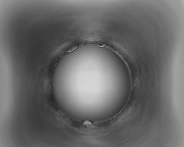 X0000111661398200907241142