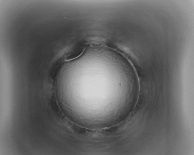 X0000111661399200907241142