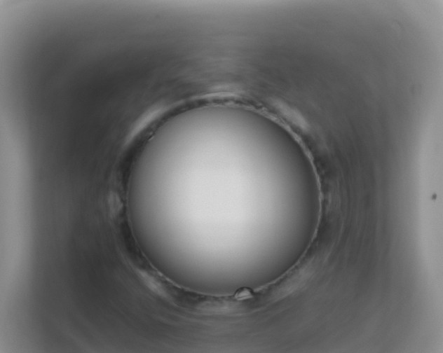 X0000111661400200907241142