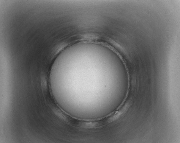 X0000111661401200907241142
