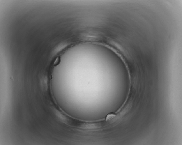 X0000111661402200907241142