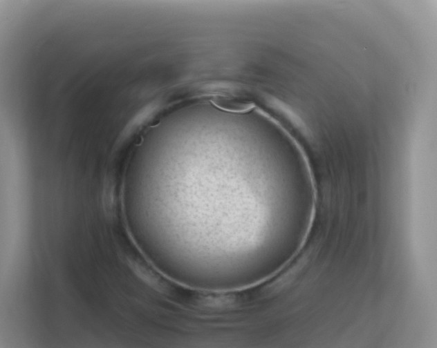 X0000111661403200907241142