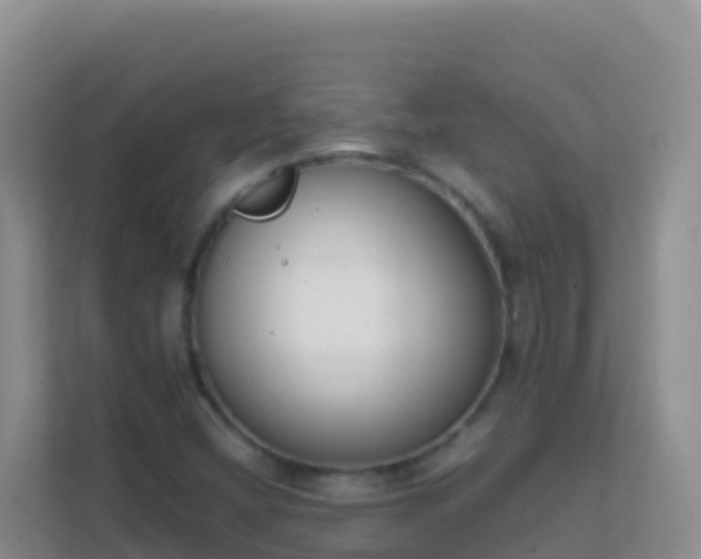 X0000111661404200907241142