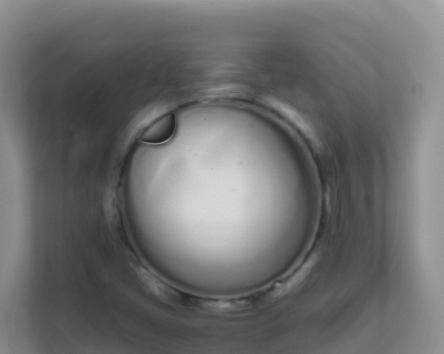 X0000111661405200907241142