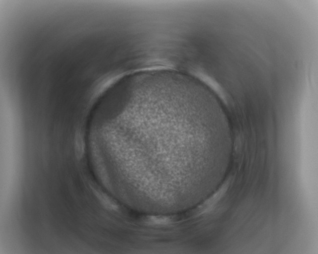 X0000111661407200907241142