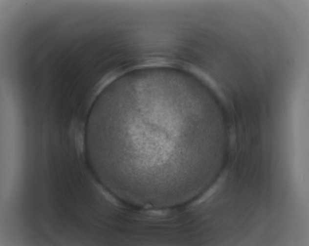 X0000111661409200907241142