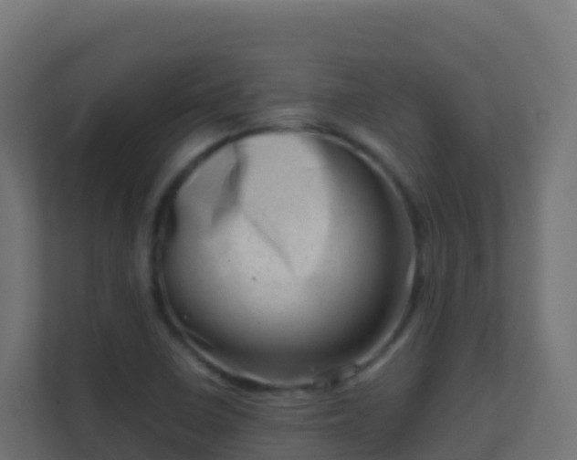 X0000111661410200907241142