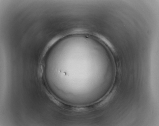 X0000111661413200907241142