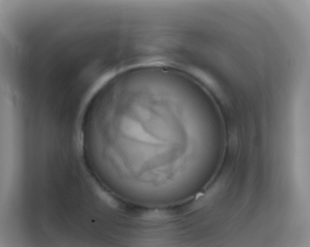 X0000111661414200907241142