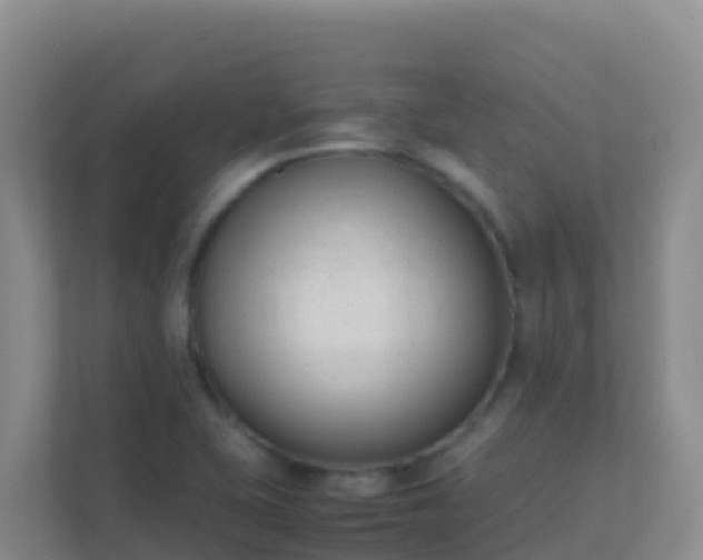 X0000111661415200907241142
