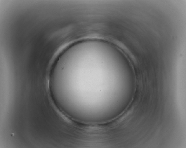 X0000111661416200907241142