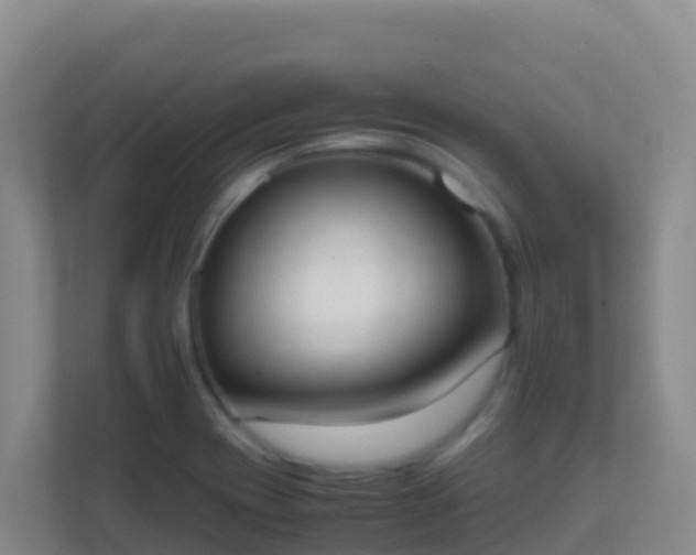 X0000111661417200907241142