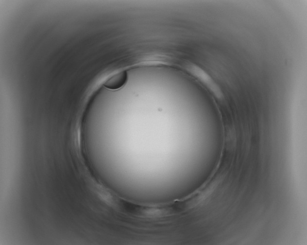 X0000111661419200907241142