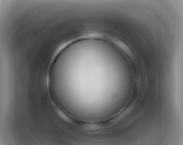 X0000111661420200907241142