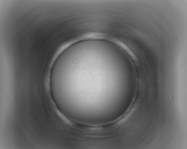 X0000111661421200907241142