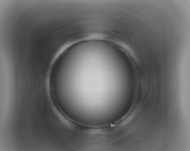 X0000111661422200907241142
