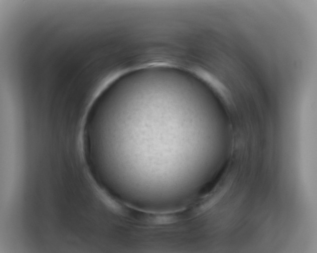 X0000111661423200907241142