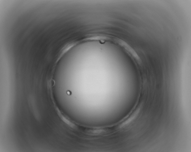 X0000111661425200907241142