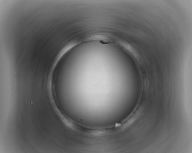 X0000111661426200907241142