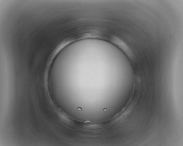 X0000111661427200907241142