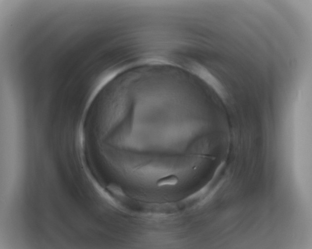 X0000111661428200907241142