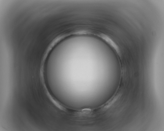 X0000111661429200907241142