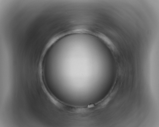 X0000111661430200907241142