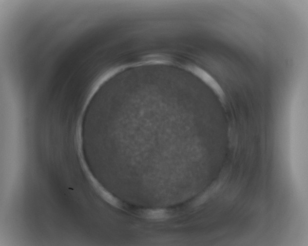 X0000111661431200907241142
