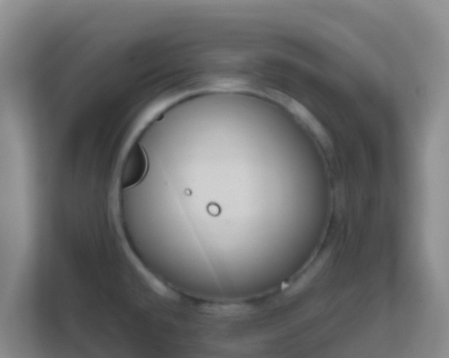 X0000111661432200907241142