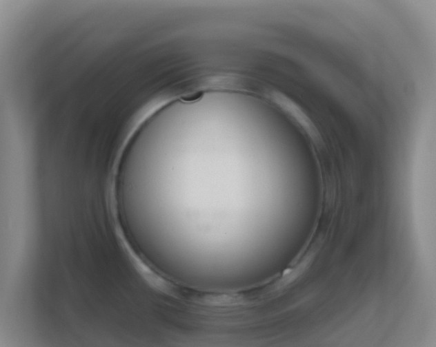 X0000111661434200907241142