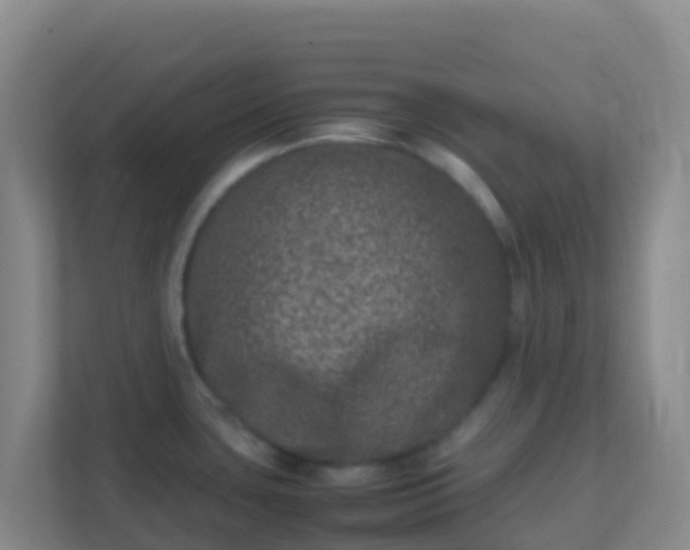 X0000111661435200907241143